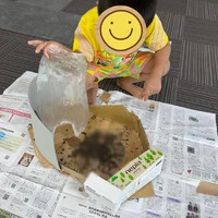 画像284